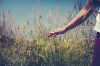 Person in Wheat Field Religious Stock Photograph